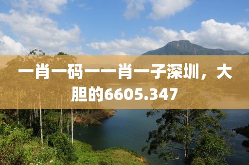 一肖一码一一肖一子深圳，大胆的6605.347