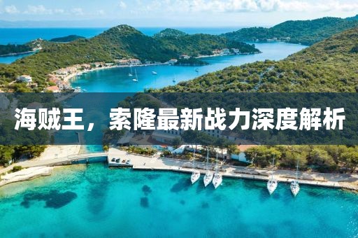 海贼王，索隆最新战力深度解析