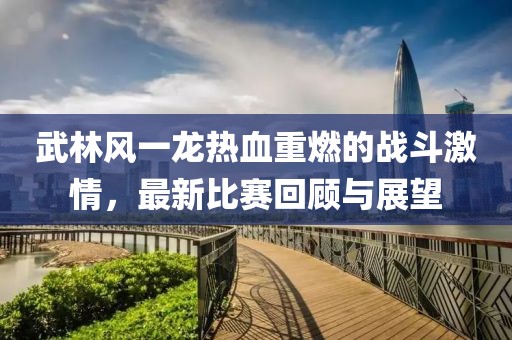 武林风一龙热血重燃的战斗激情，最新比赛回顾与展望