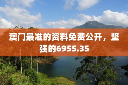 澳门最准的资料免费公开，坚强的6955.35