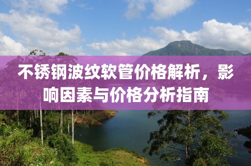 不锈钢波纹软管价格解析，影响因素与价格分析指南