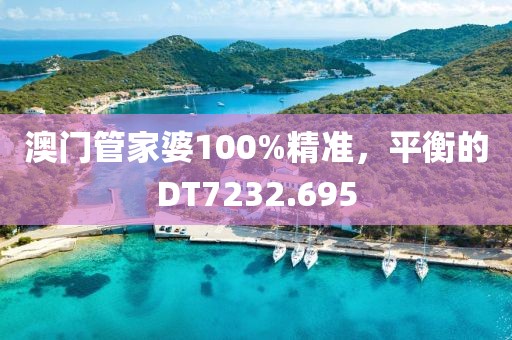澳门管家婆100%精准，平衡的DT7232.695