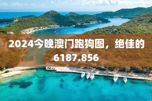 2024今晚澳门跑狗图，绝佳的6187.856