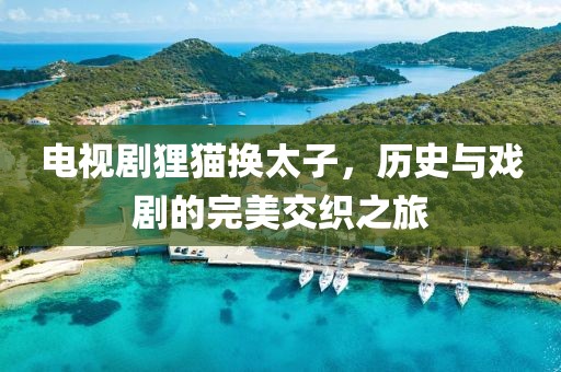 电视剧狸猫换太子，历史与戏剧的完美交织之旅