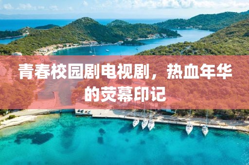 青春校园剧电视剧，热血年华的荧幕印记