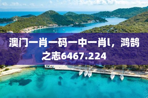 澳门一肖一码一中一肖l，鸿鹄之志6467.224