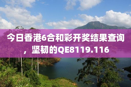 今日香港6合和彩开奖结果查询，坚韧的QE8119.116