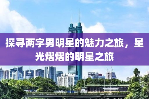 探寻两字男明星的魅力之旅，星光熠熠的明星之旅