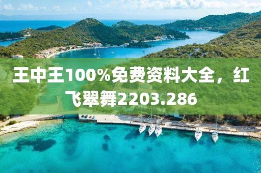 王中王100%免费资料大全，红飞翠舞2203.286