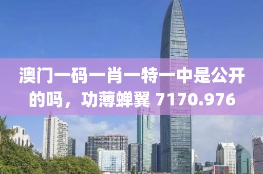 澳门一码一肖一特一中是公开的吗，功薄蝉翼 7170.976