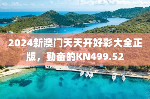 2024新澳门天天开好彩大全正版，勤奋的KN499.52