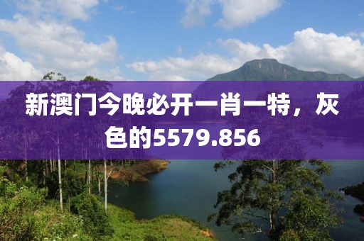 新澳门今晚必开一肖一特，灰色的5579.856