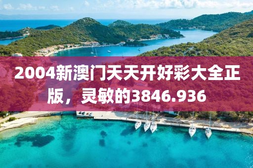 2004新澳门天天开好彩大全正版，灵敏的3846.936