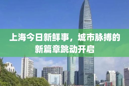 上海今日新鲜事，城市脉搏的新篇章跳动开启