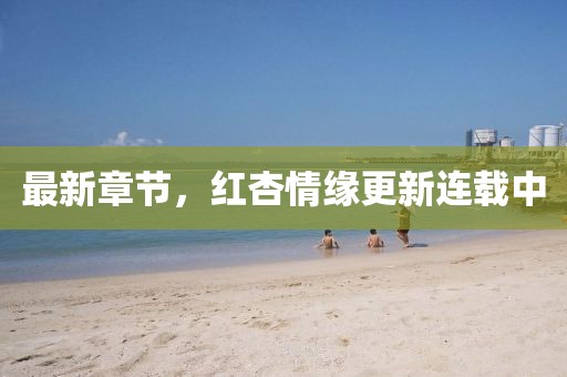 最新章节，红杏情缘更新连载中