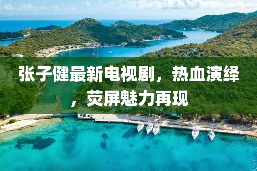 张子健最新电视剧，热血演绎，荧屏魅力再现