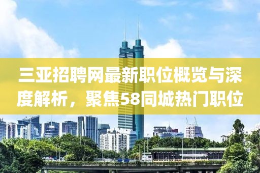 三亚招聘网最新职位概览与深度解析，聚焦58同城热门职位