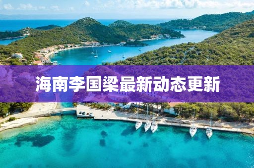 海南李国梁最新动态更新