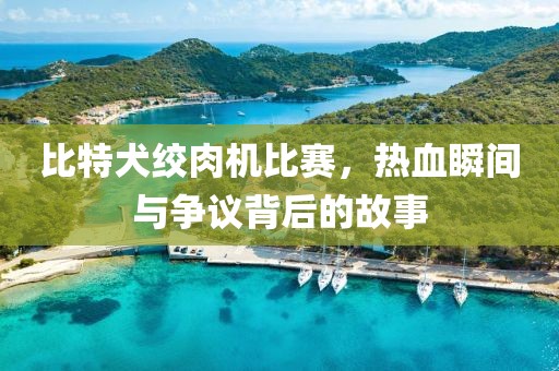 比特犬绞肉机比赛，热血瞬间与争议背后的故事