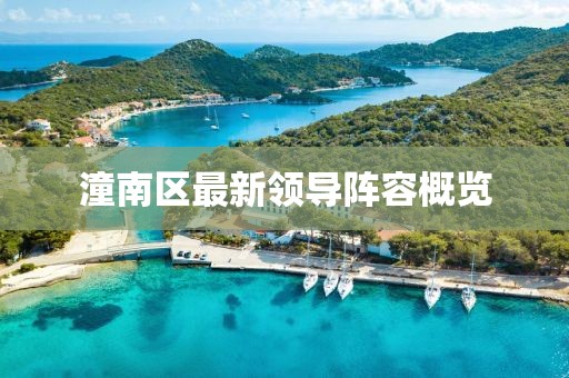 潼南区最新领导阵容概览