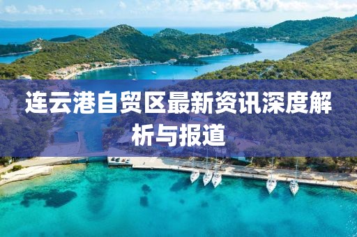 连云港自贸区最新资讯深度解析与报道