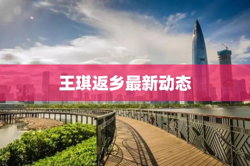 王琪返乡最新动态