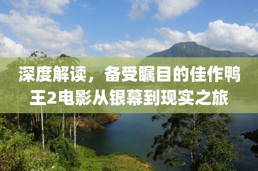 深度解读，备受瞩目的佳作鸭王2电影从银幕到现实之旅
