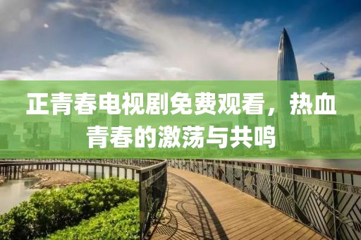 正青春电视剧免费观看，热血青春的激荡与共鸣