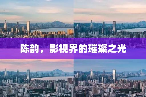 陈韵，影视界的璀璨之光