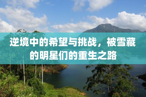逆境中的希望与挑战，被雪藏的明星们的重生之路