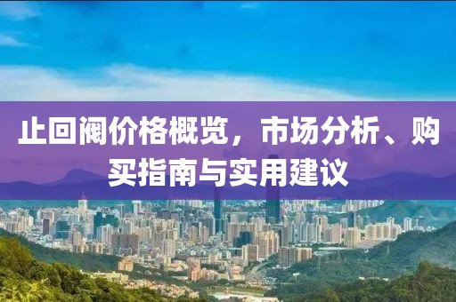 止回阀价格概览，市场分析、购买指南与实用建议