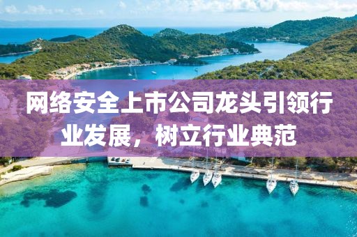 网络安全上市公司龙头引领行业发展，树立行业典范