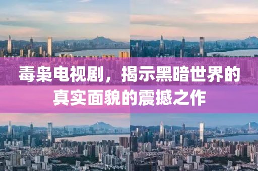 毒枭电视剧，揭示黑暗世界的真实面貌的震撼之作