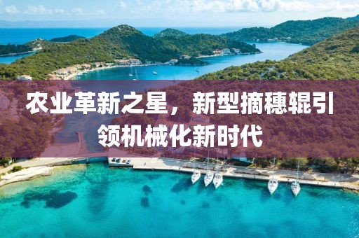 农业革新之星，新型摘穗辊引领机械化新时代