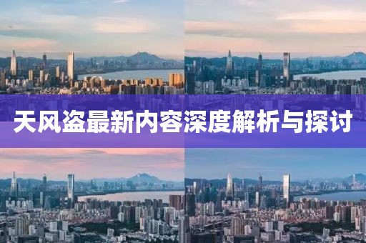 天风盗最新内容深度解析与探讨