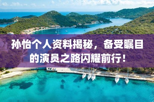 孙怡个人资料揭秘，备受瞩目的演员之路闪耀前行！