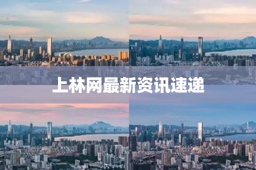 上林网最新资讯速递