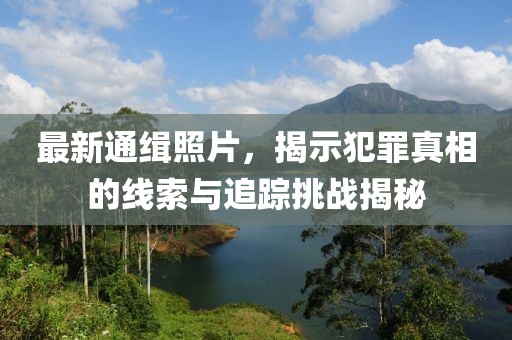 最新通缉照片，揭示犯罪真相的线索与追踪挑战揭秘