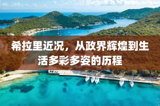 希拉里近况，从政界辉煌到生活多彩多姿的历程