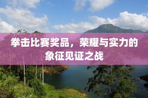 拳击比赛奖品，荣耀与实力的象征见证之战