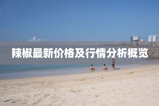 辣椒最新价格及行情分析概览