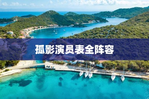 孤影演员表全阵容