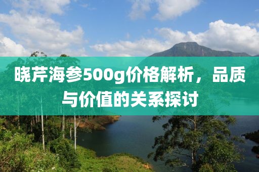 晓芹海参500g价格解析，品质与价值的关系探讨