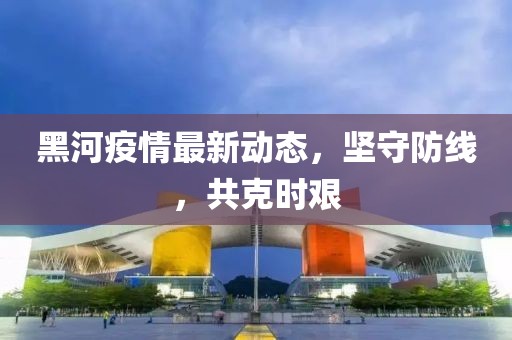 黑河疫情最新动态，坚守防线，共克时艰