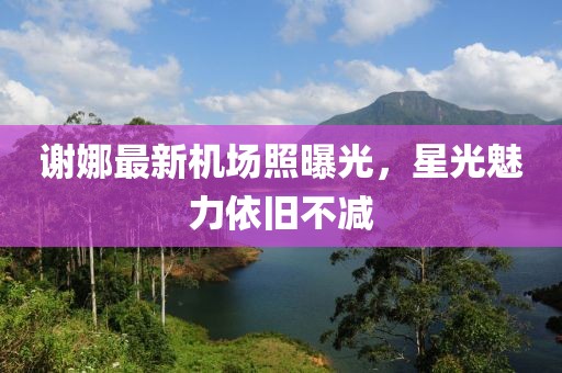 自动快换装置（换枪盘） 第362页