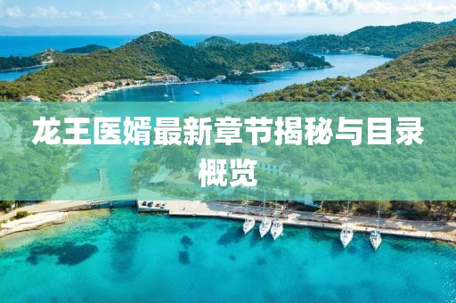 龙王医婿最新章节揭秘与目录概览