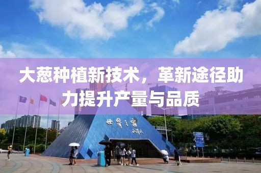 大葱种植新技术，革新途径助力提升产量与品质
