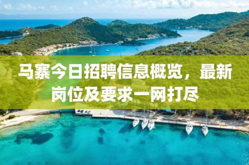 马寨今日招聘信息概览，最新岗位及要求一网打尽