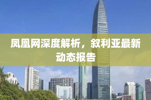 凤凰网深度解析，叙利亚最新动态报告