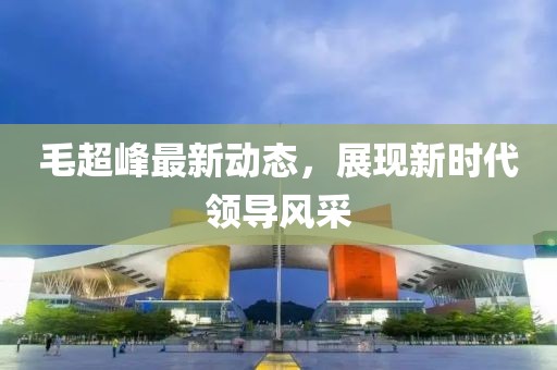 毛超峰最新动态，展现新时代领导风采